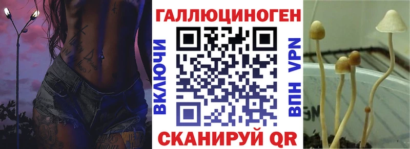 кракен как войти Железногорск Галлюциногенные грибы Psilocybe