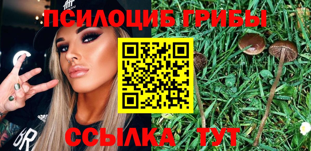 Галлюциногенные грибы Psilocybine cubensis  Вход с VPN  Железногорск  Галлюциногенные грибы Psilocybine cubensis 